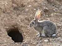 Moonman - @jutronaobiadznowuryz: