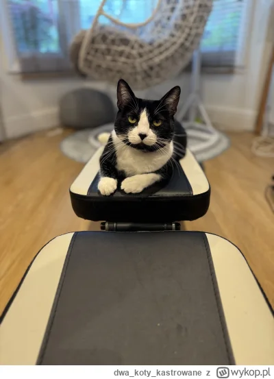 dwakotykastrowane - Już tydzień próbuje skorzystać z ławeczki i nie mogę bo wiecznie ...