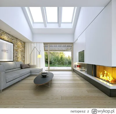 netopesz - @netopesz: