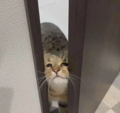 dywergent - if you only knew how bad things really are