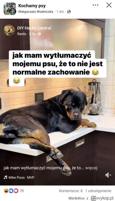 WielkiNos - Trzeba usiąść z nim na spokojnie i wyjaśnić, że niestety nie może wchodzi...