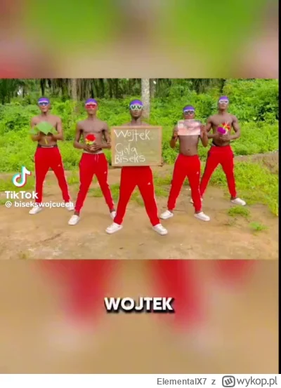 ElementalX7 - #famemma Specjalnie jednostki z Polski wraz z Interpolem już szykują ob...