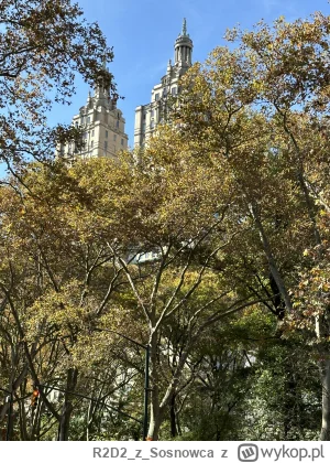 R2D2zSosnowca - @R2D2zSosnowca ʕ•ᴥ•ʔ