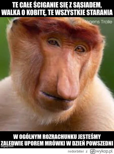 redorbiter - #konkursnanajbardziejgownianymemznosaczem