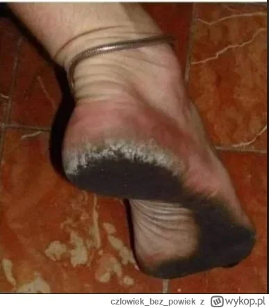 czlowiekbezpowiek - #famemma #danielmagical co wy gadacie, że tucznik zawinął całą ka...