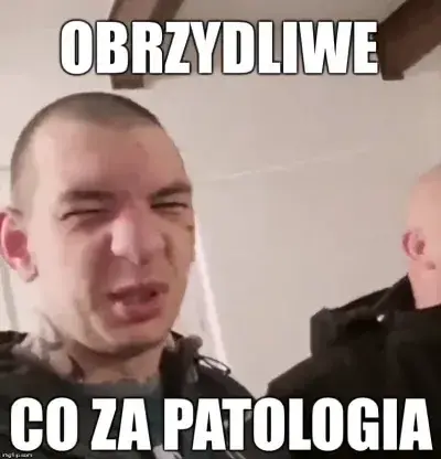 bizzi0801 - #danielmagical