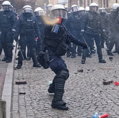 qmicha - Expecto patronum Ku r w aaaaa

#policja #polska #protesty