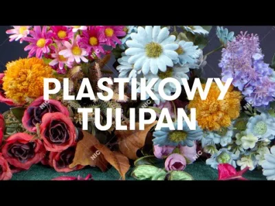 Kot_Cheshire - #przegryw Dla @Kicikicimiaul plastikowy tulipan 🌷
Uczcie się spermiag...