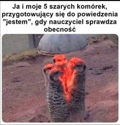 dziwnyczlowiek - @Graner: jestem