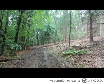 wspomnienieciszy - Bhp w gorach.
Lekcja 1. Idz na szczyt w czasie burzy.
#gory #pog...