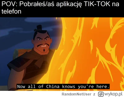 RandomNetUser - #memy #heheszki #humorobrazkowy #chiny