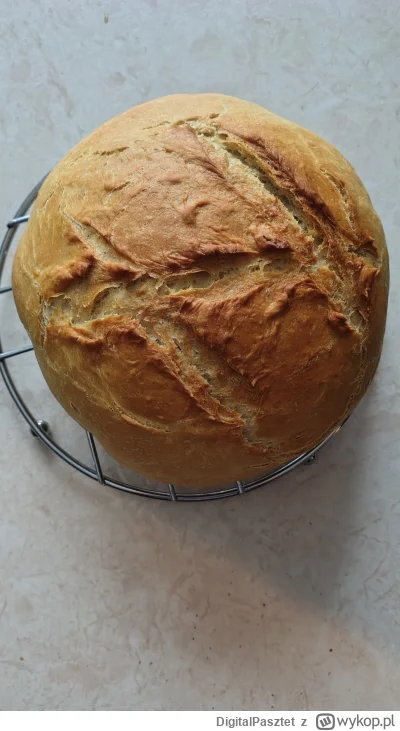 DigitalPasztet - zrobiłem chlip