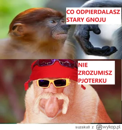 suzaku0 - #konkursnanajbardziejgownianymemznosaczem