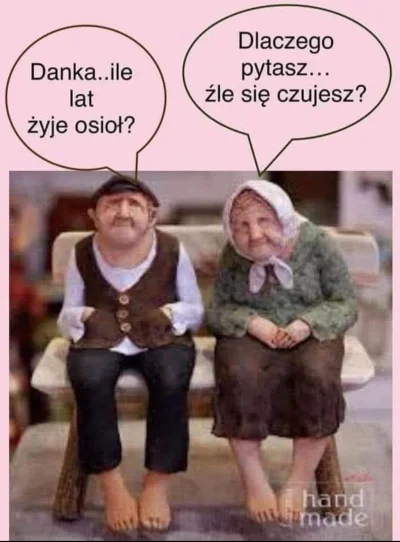 KW23 - #heheszki
#humorobrazkowy
#malzenstwo