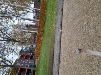 ZAPRASZAMDOPOLONEZA - @daktylekN: Masz jakiś problem?