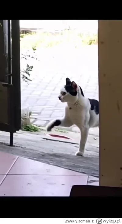 ZwyklyRoman - Wierzycie w reinkarnację?

SPOILER