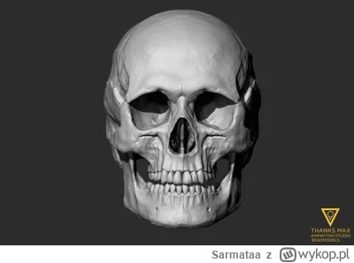 Sarmataa - @Kumplica: Kiedyś badałem i zastanawiałem się nad zagadnieniem piękna, a s...