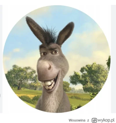 Wouowina - #hotelparadise nie wiem czy już ktoś miał takie skojarzenie bo za dużo wpi...