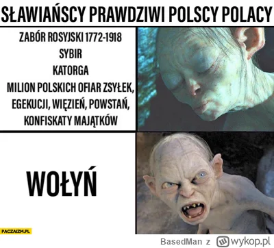 BasedMan - @RazumichinZiK: Wolyn Wolyn Wolyn!!1!1!!!! Polacy czemu wciąż wspieracie U...