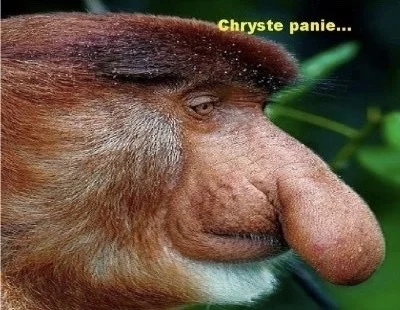 JanPancerzII - @Dogecoin