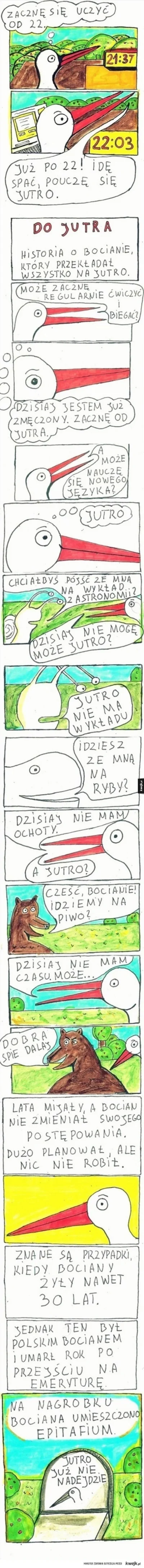 evolved - @Kotouak: nawiązując do motywu: