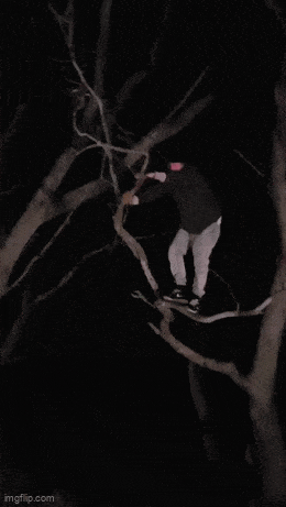 wfyokyga - Śmiechu warte