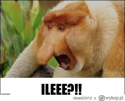 dawid3012 - @lecoffe 
 przyjemnej cenie 31zl/ml