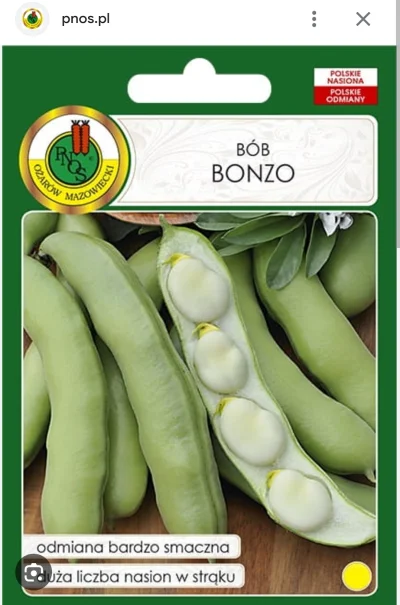 Agresywna_Szyba - trzeba mieć nieźle n------e w główce za pszeproszeniem żeby po śmie...