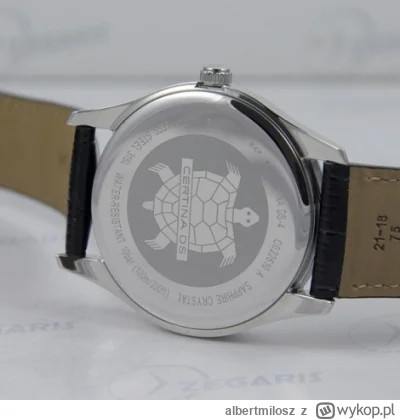 albertmilosz - @fiddle: Tak to wygląda z tyłu.