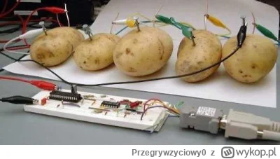 P.....0 - @Rougelord nie szarżuj tak z tymi gifami po serwer spalisz