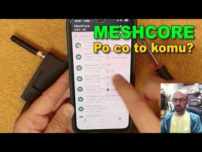 Turkotka - @youmimicanski: @czerwona_krewetka