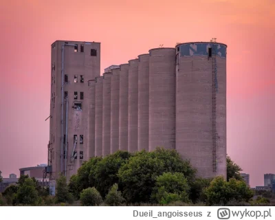 Dueil_angoisseus - Silosy

#fotografia #opuszczone #opuszczonemiejsca #urbex #industr...