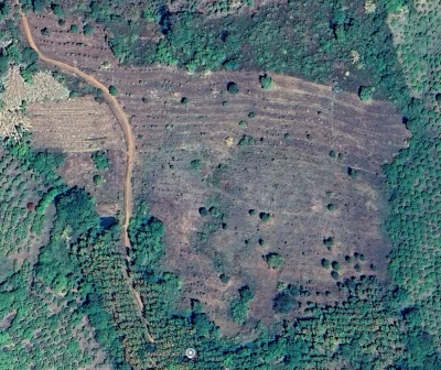 hans-kloss-23 - @kambo_monitor: Google mówi ze zdjęcie ze stycznia 2025. Misza MUSI w...