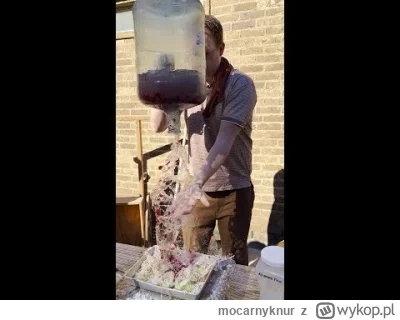 mocarnyknur - #heheszki #gotujzwykopem