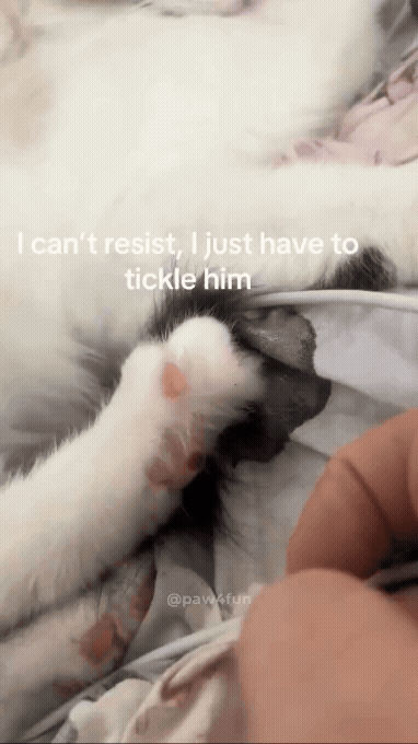 jestemtakizmeczony - @jestemtakizmeczony: