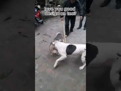 Czerwone_Stringi - @drywall33: on chcą tylko się bawić