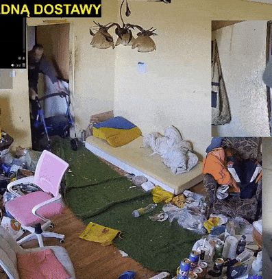 bizzi0801 - #danielmagical