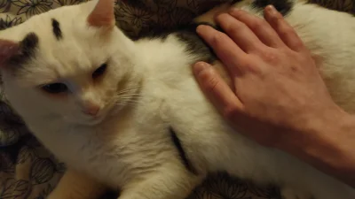 essla - Zastanawiałem się czego mu brakuje, a jemu o glasku o chodziło Już dzidzia mr...