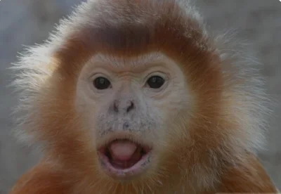 mkorsov - Nie płacz w kasynie dzieciaku

#btc #bitcoin #kryptowaluty #gielda