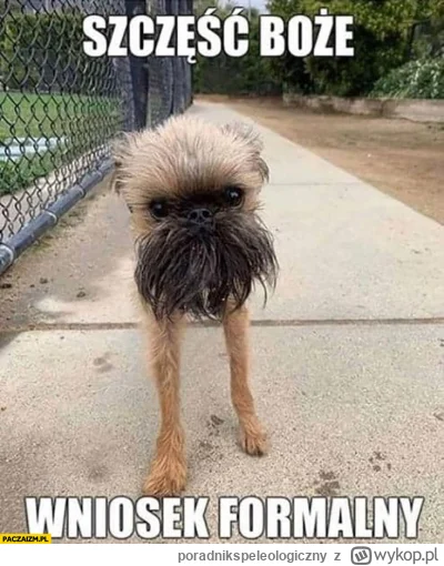 poradnikspeleologiczny - Czy uchwała rządowa go powstrzyma przed dokonaniem zatrzyman...