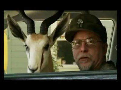 George_Liquor - @mrbat: @taktomojekonto Look at that antelope driving a car! (ꖘ⏏ꖘ)
SP...