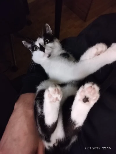 zielona-rzapka - @zielona-rzapka