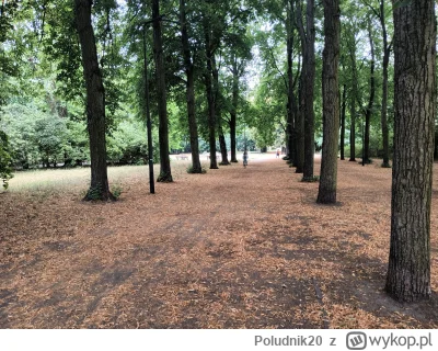 Poludnik20 - #Łódź Park im. Stanisława im. Stanisława Staszica. Widok aleję od strony...