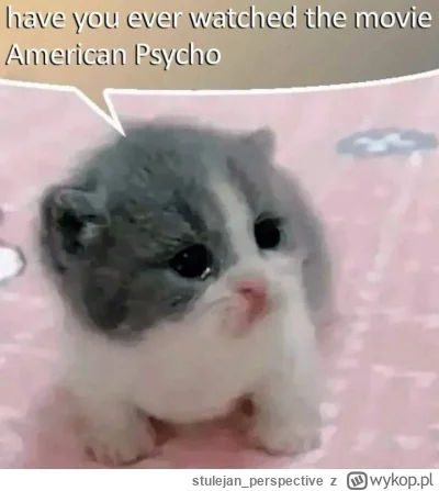 stulejan_perspective