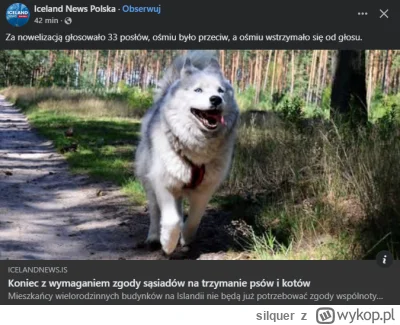 silquer - No i co tu tak cicho?
#psiarze #psy