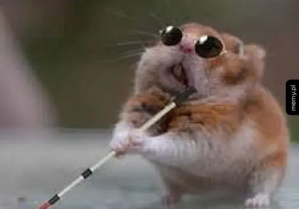 tulipana - @tulipana: tymczasem Hubner na info o tym, że zondacrypto był GŁÓWNYM spon...