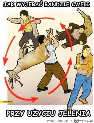 Winter_Scorpion - Gdy wchodzisz na konfe
Pdf mma pełną bandzi i sportowców #famemma