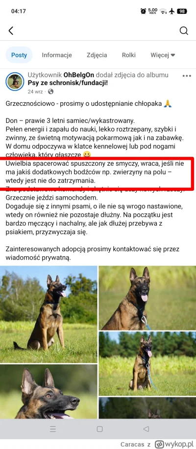 Caracas - Chce ktoś pieska tej samej rasy co dwa razy ostatnio zagryzł człowieka w ty...