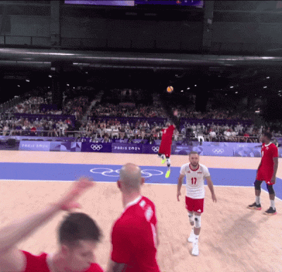 psycha - #paryz2024 #paryz2024gif #siatkowka