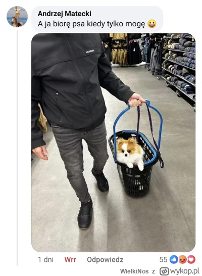 WielkiNos - @lukasz-dit albo: